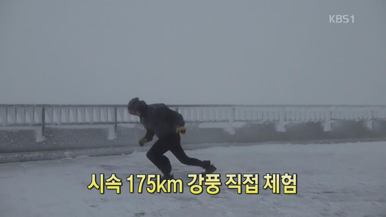 [세상의 창] 시속 175km 강풍 직접 체험