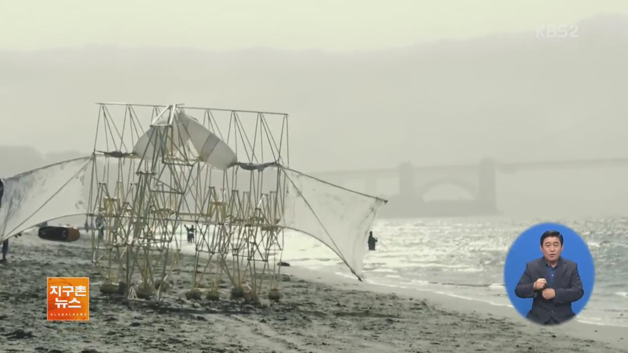 [지구촌 화제 영상] ‘해변의 괴생물체?’, 키네틱 아트 거장의 작품