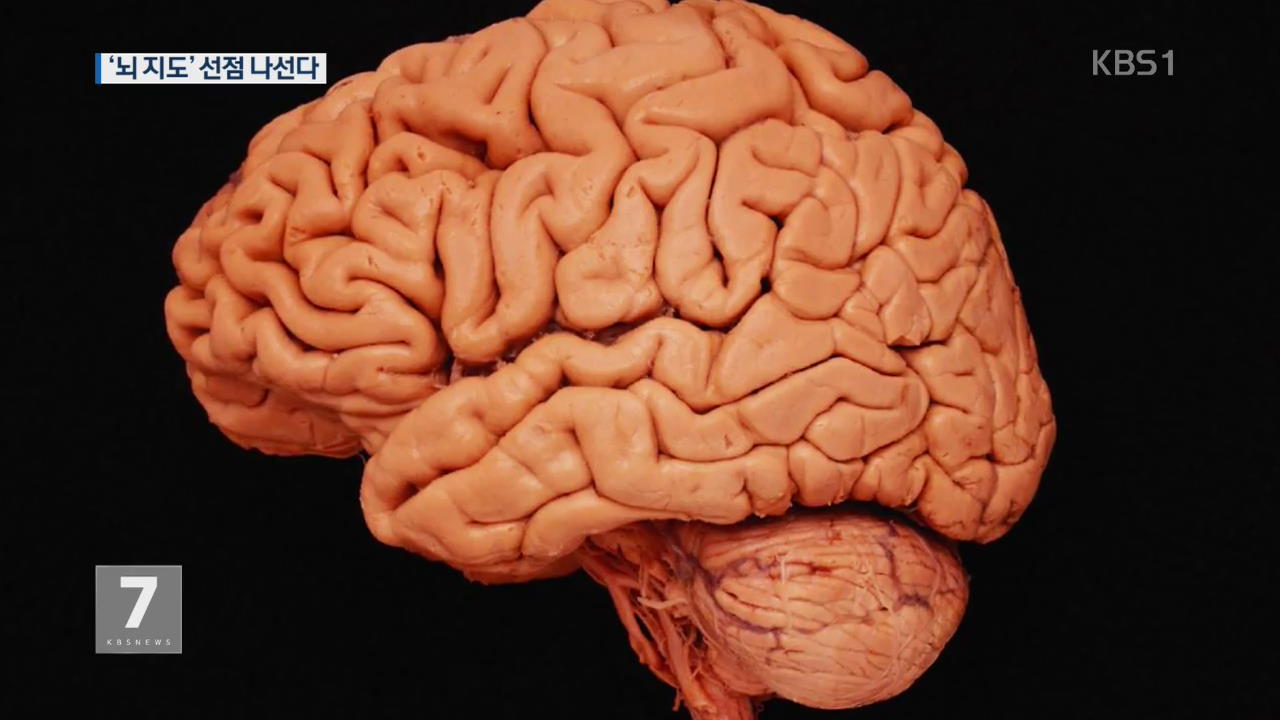 특화 뇌지도 만든다…뇌 연구 신흥강국 목표