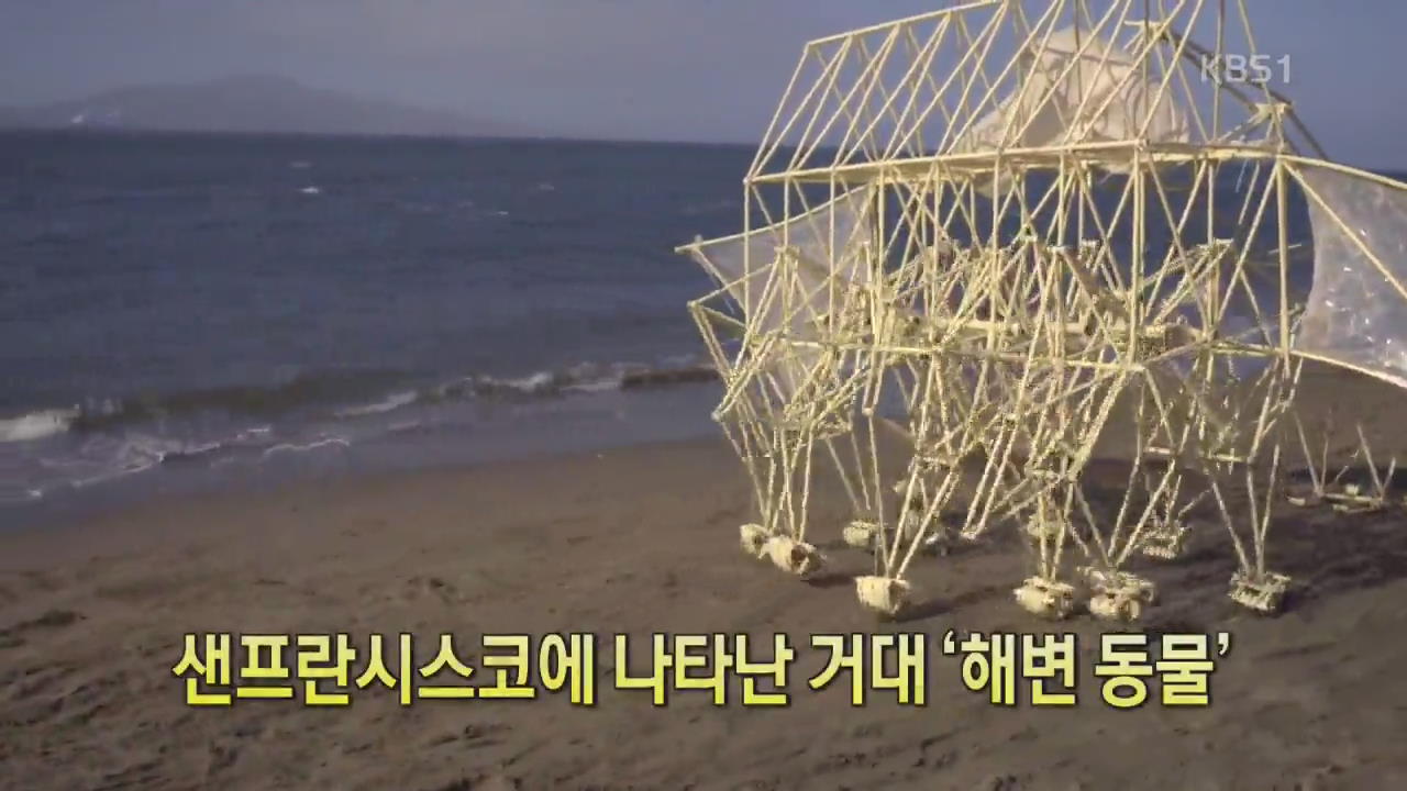 [세상의 창] 샌프란시스코에 나타난 거대 ‘해변 동물’