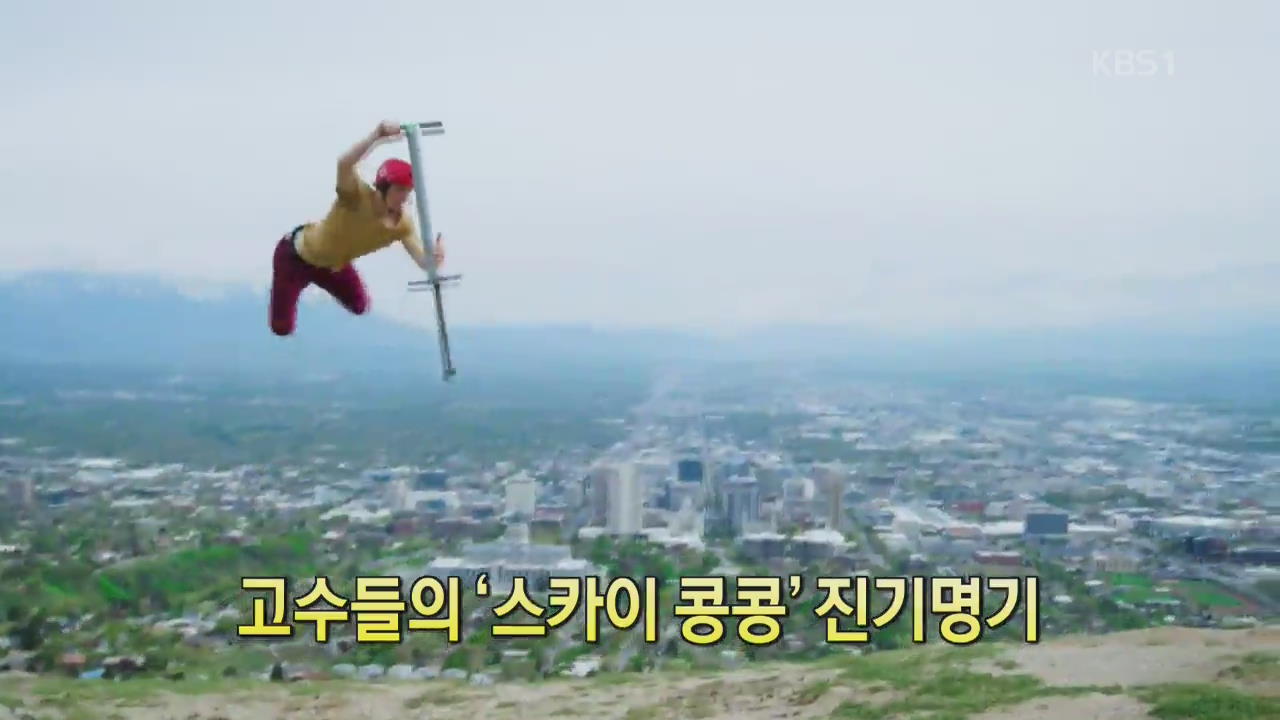 [세상의 창] 고수들의 '스카이 콩콩' 진기명기 
