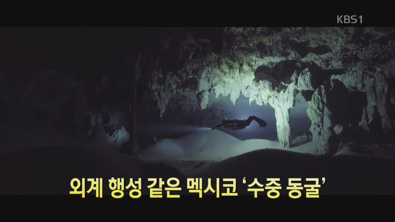 [디지털 광장] 외계 행성 같은 멕시코 ‘수중 동굴’