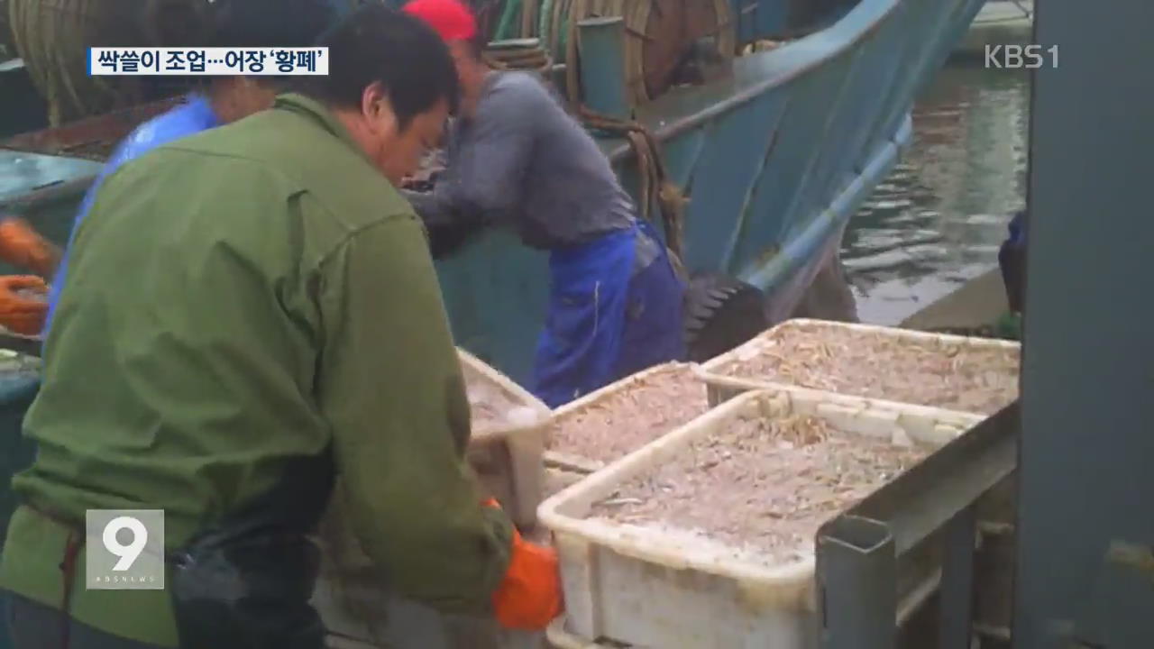 금어기에 몰래 조업…“한국 어장 황폐화”