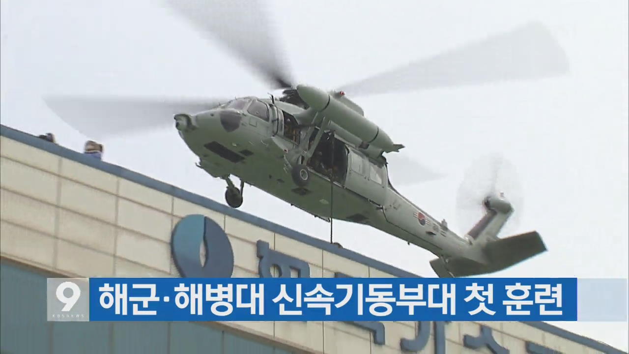 [간추린 단신] 해군·해병대 신속기동부대 첫 훈련 외