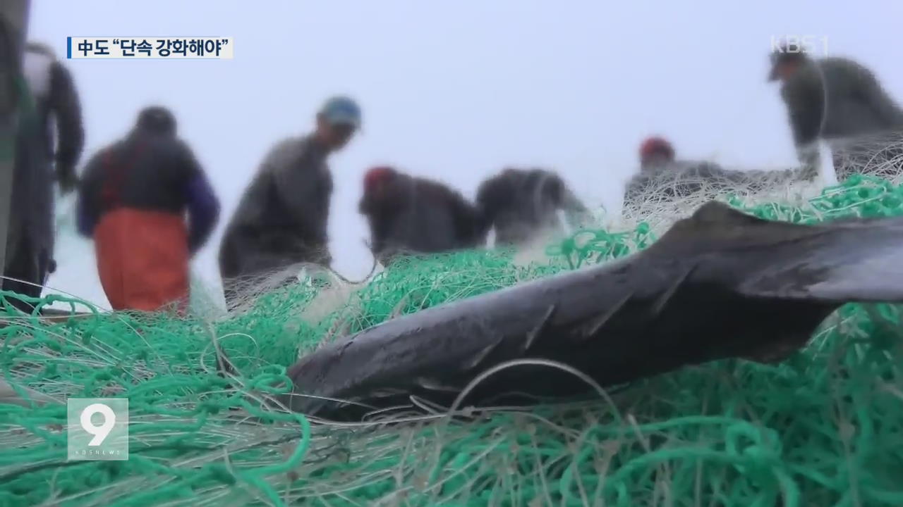 中 정부 “불법 어업 통제 조치…단속 강화 희망”