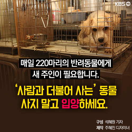 [뉴스픽] 23일, 버려진 반려동물에 허락된 시간