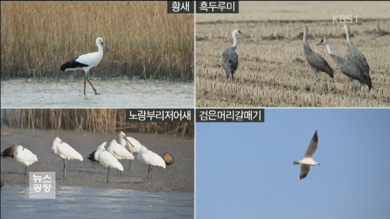 순천 동천하구, ‘람사르 습지’로 지정