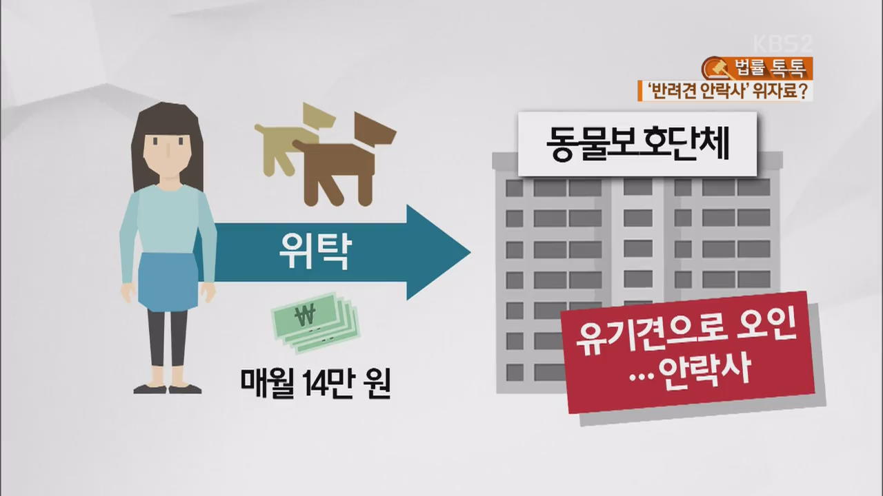 [법률톡톡] ‘유기견 오인해 안락사’ 위자료 청구 가능할까?