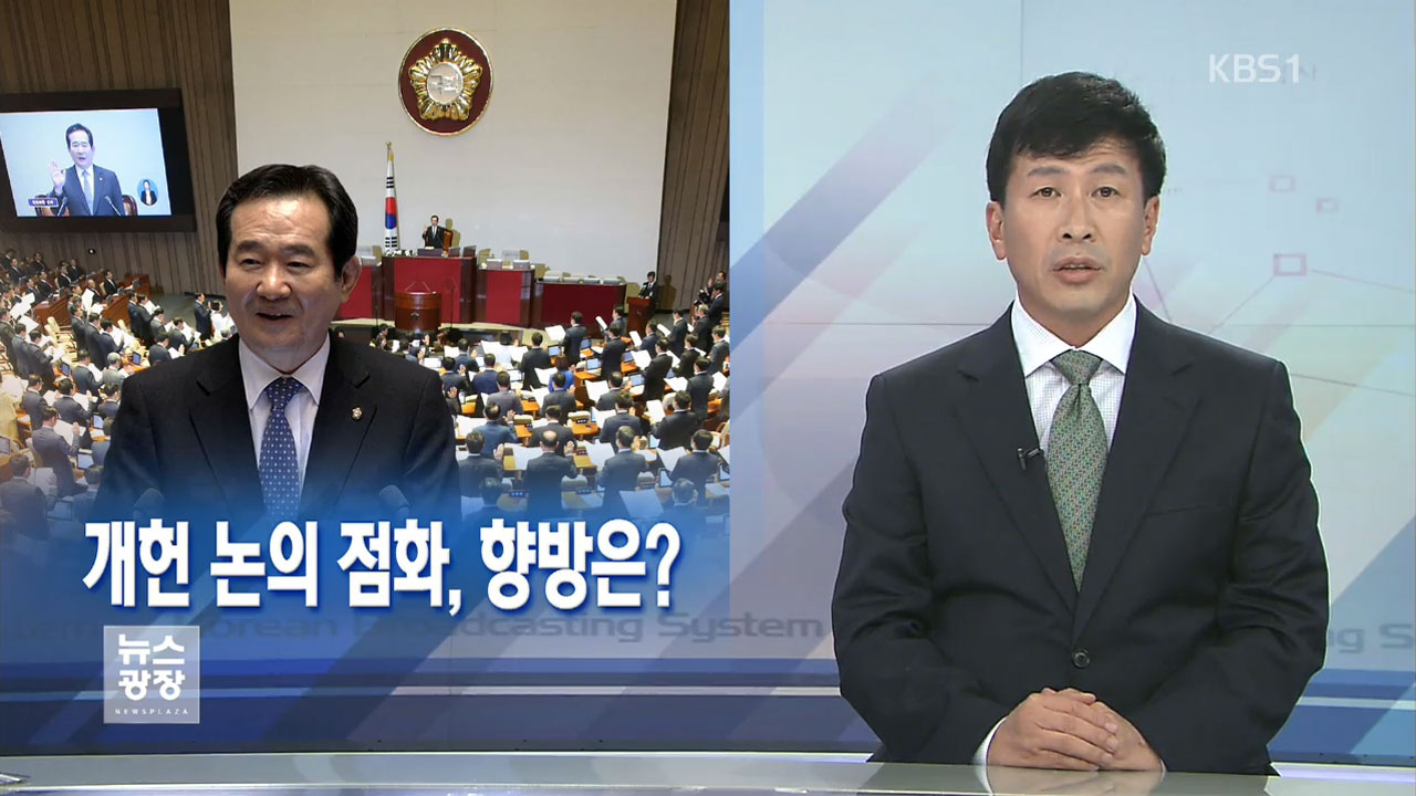 [뉴스해설] 개헌 논의 점화, 향방은?