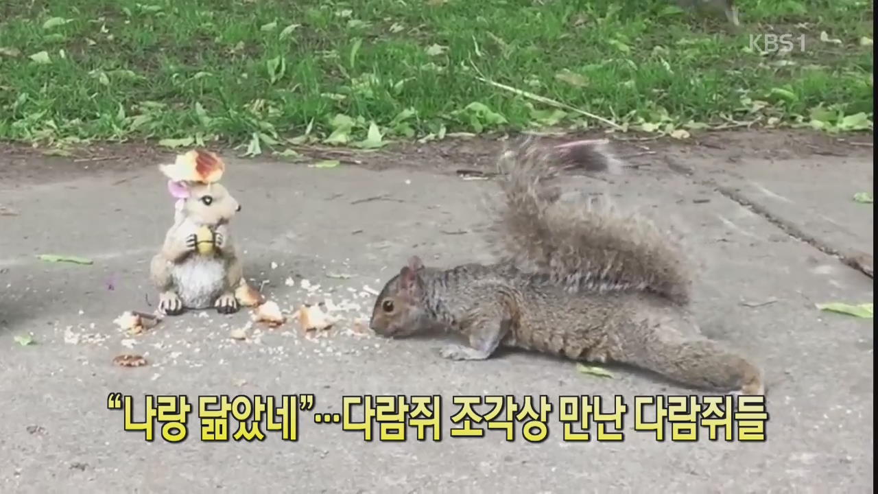 [디지털 광장] “나랑 닮았네”…다람쥐 조각상 만난 다람쥐들