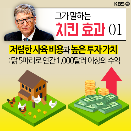 [뉴스픽] 배신의 치킨? 나무에서 떨어진 기부왕