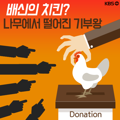 [뉴스픽] 배신의 치킨? 나무에서 떨어진 기부왕