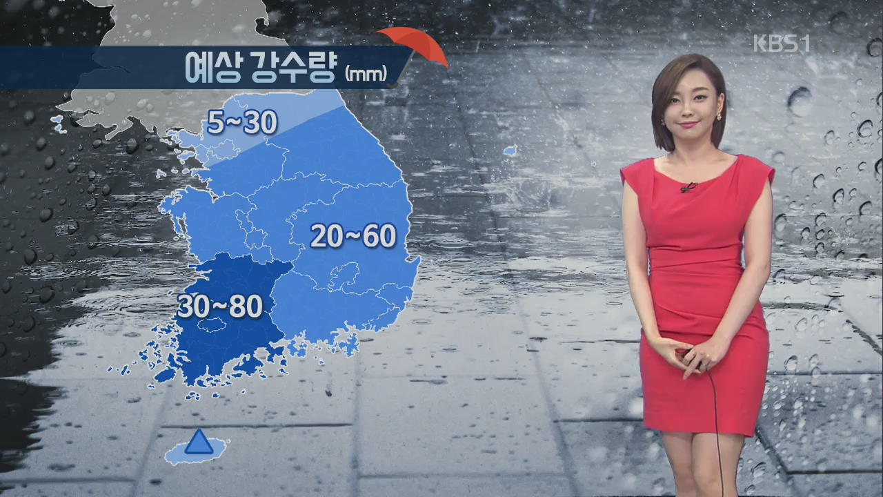 전국 장맛비…호남 최고 100mm이상 많은 비