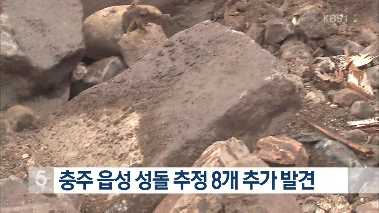 충주 읍성 성돌 추정 8개 추가 발견
