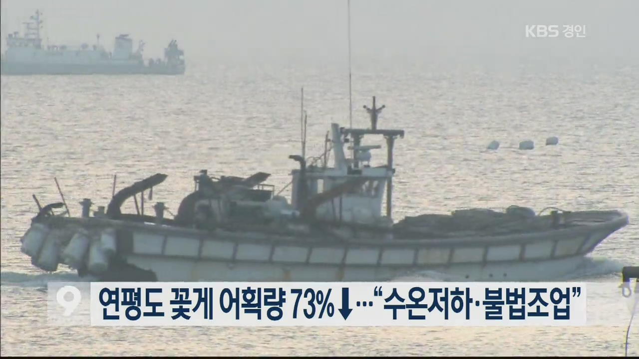 연평도 꽃게 어획량 73% ↓…“수온저하·불법조업”