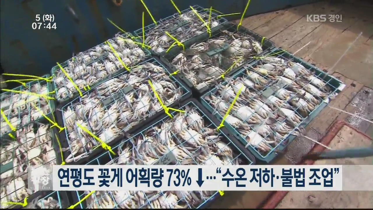 연평도 꽃게 어획량 73% ↓…“수온 저하·불법 조업”