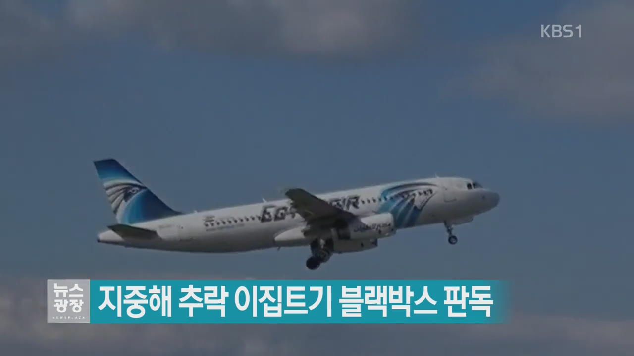 [지금 세계는] 지중해 추락 이집트기 블랙박스 판독
