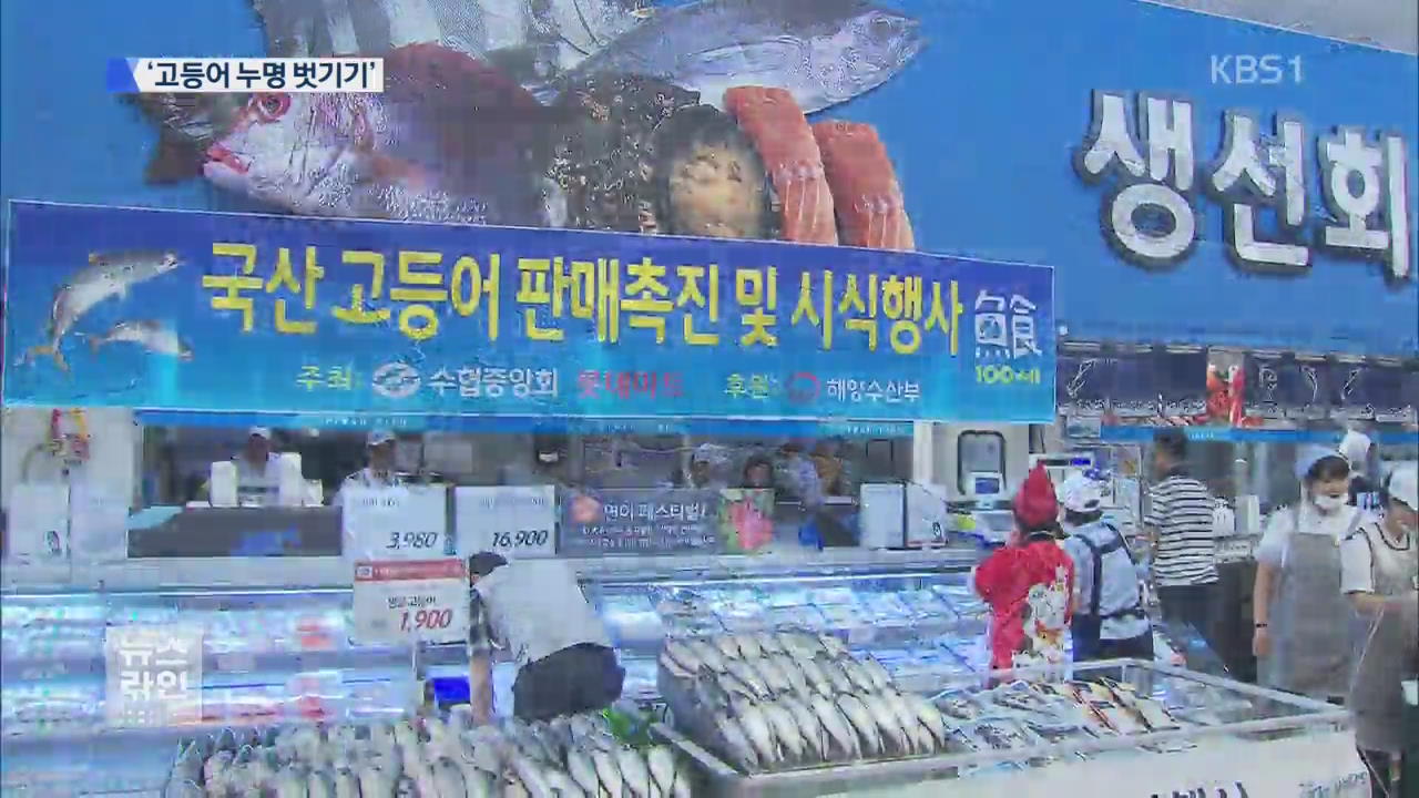 ‘고등어 누명 벗기기’…뒤늦은 판촉 행사