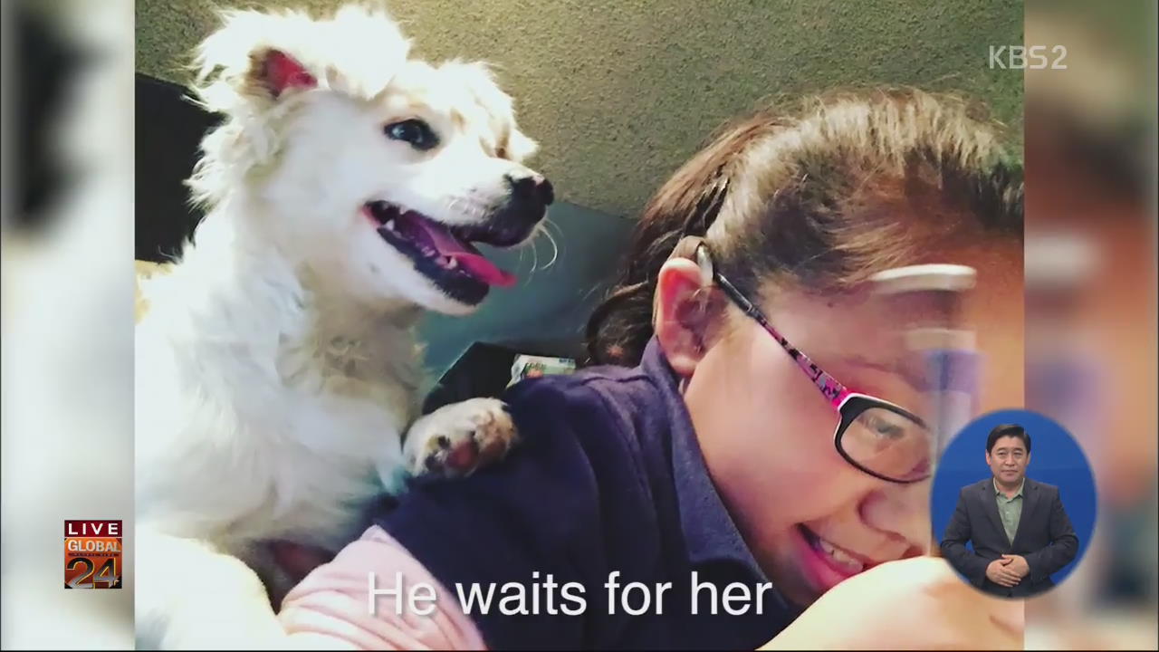 [글로벌24 브리핑] 청각장애 개와 청각장애 소녀의 우정