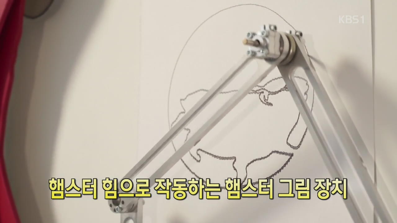 [디지털 광장] 햄스터 힘으로 작동하는 햄스터 그림 장치