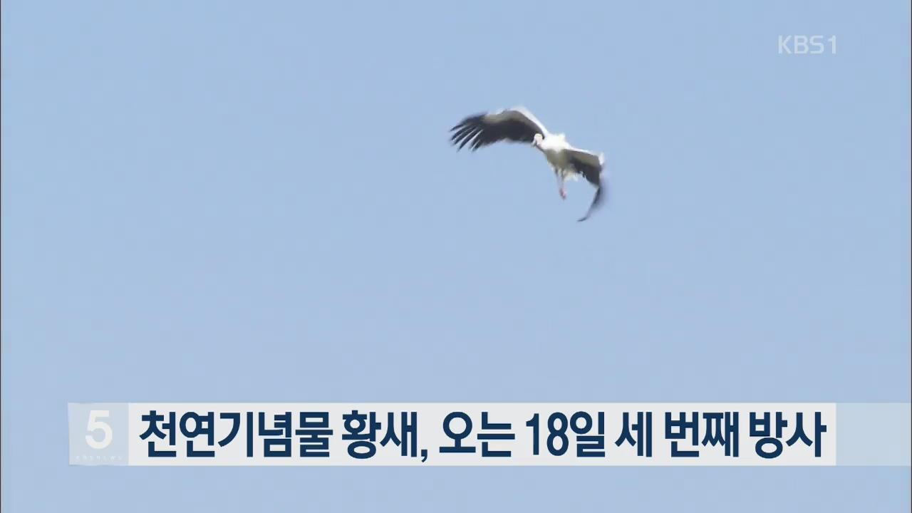 천연기념물 황새, 오는 18일 세 번째 방사