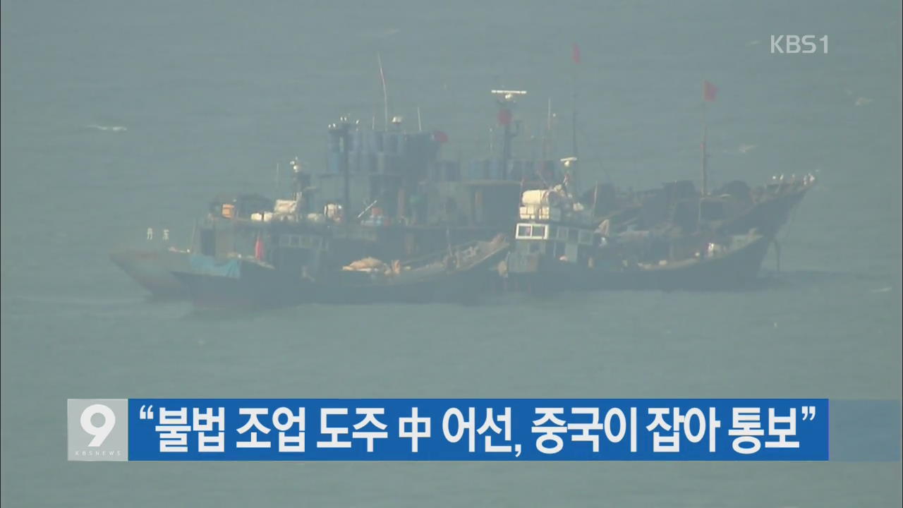 [간추린 단신] “불법 조업 도주 中 어선, 중국이 잡아 통보” 외