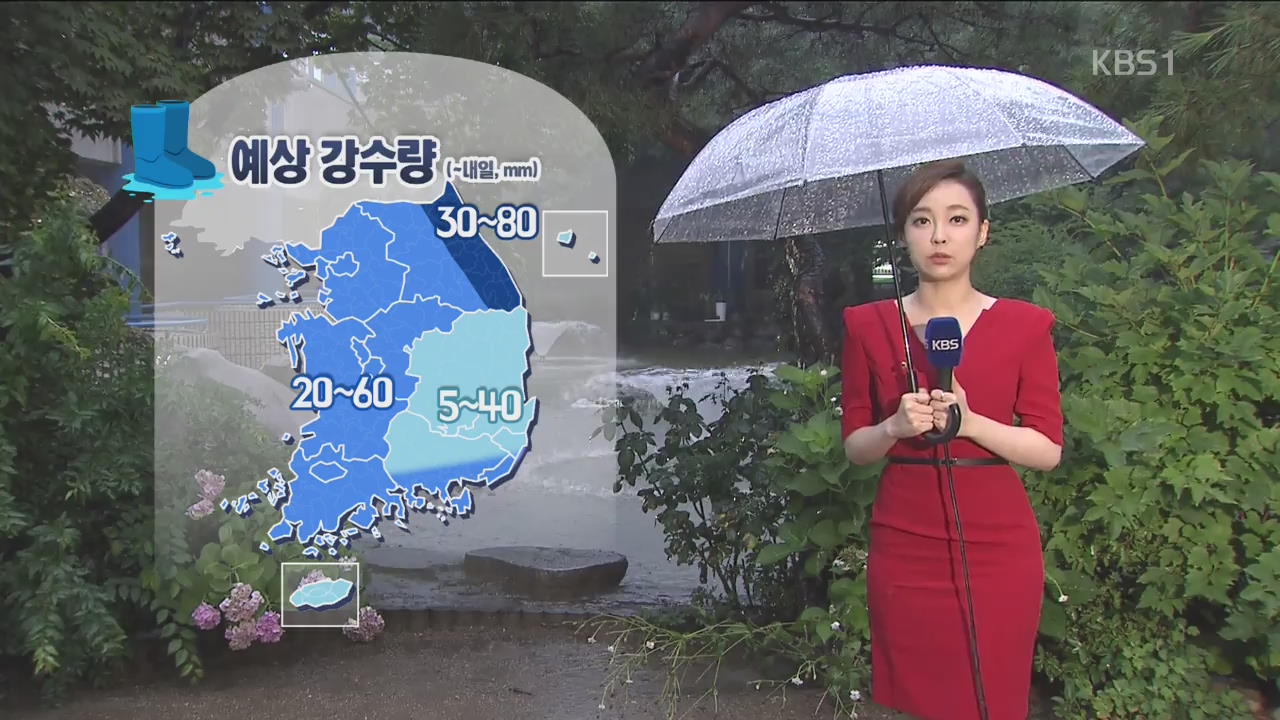 전국 장맛비, 오전까지 강한 비 집중