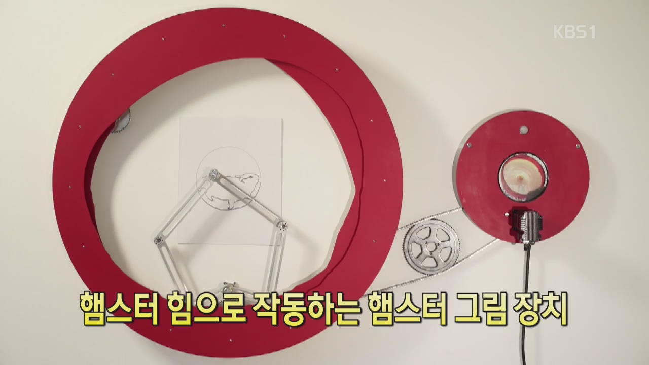 [세상의 창] 햄스터 힘으로 작동하는 햄스터 그림 장치