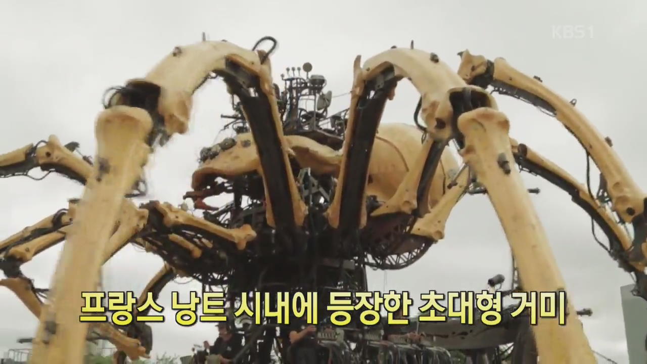 [세상의 창] 프랑스 낭트 시내에 등장한 초대형 거미
