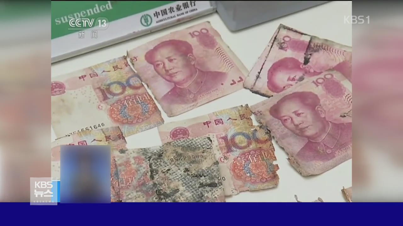 중국, 너무 오래 간직해 지폐에 곰팡이가…