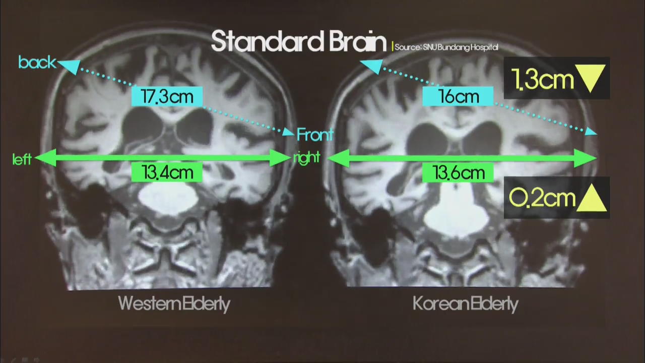 Korean Brain Maps