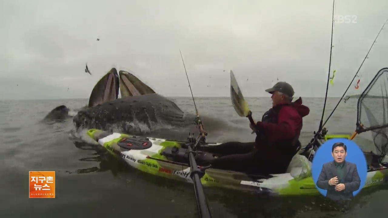 [지구촌 화제 영상] 카약 낚시 중…코앞에서 본 ‘혹등고래’