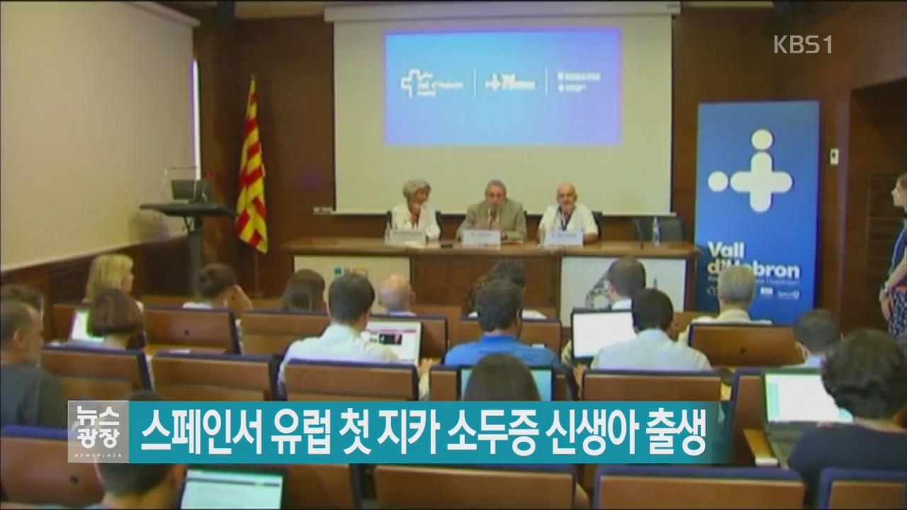 [지금 세계는] 스페인서 유럽 첫 지카 소두증 신생아 출생