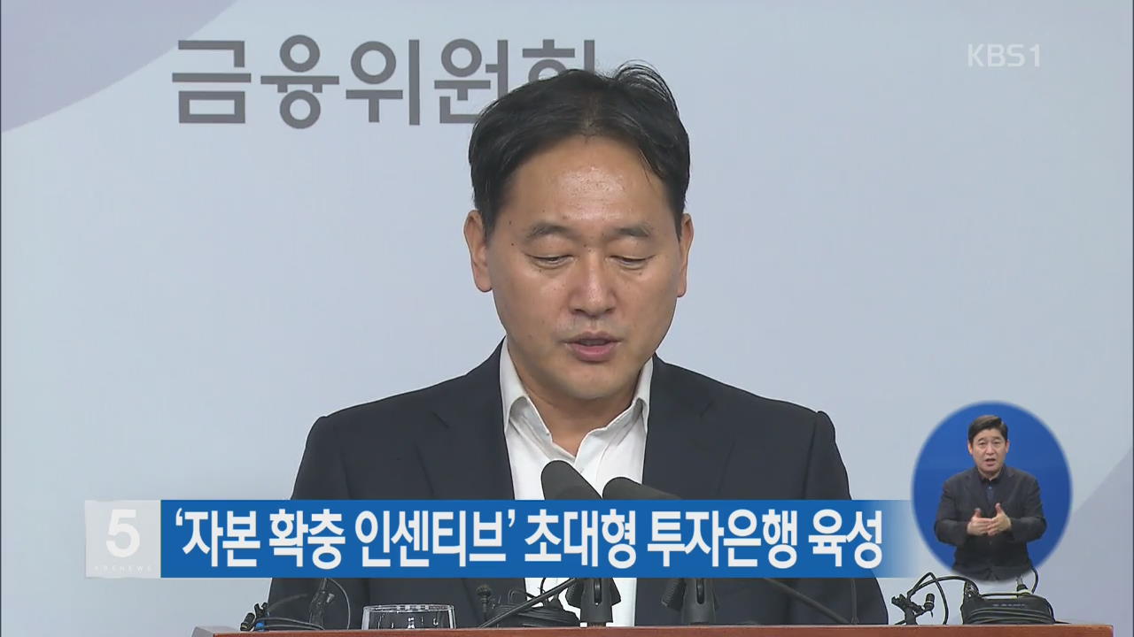 ‘자본 확충 인센티브’ 초대형 투자은행 육성