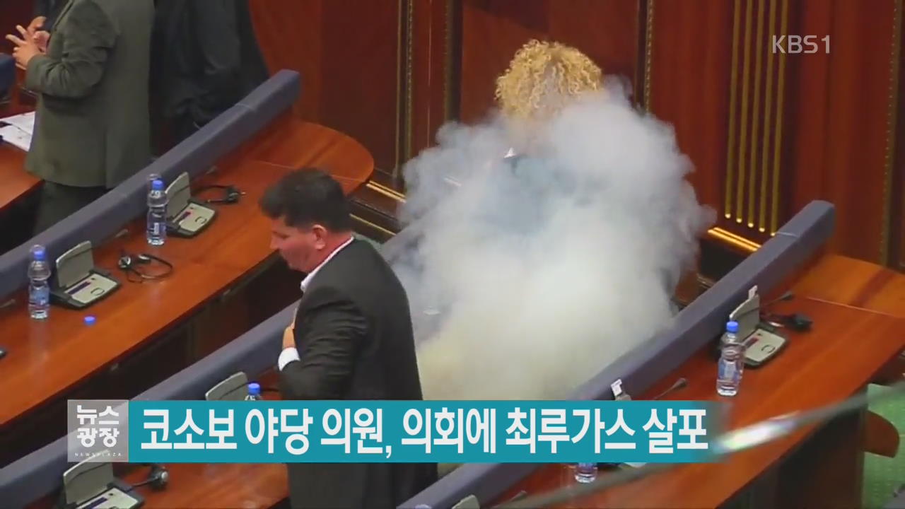 [지금 세계는] 코소보 야당 의원, 의회에 최루가스 살포