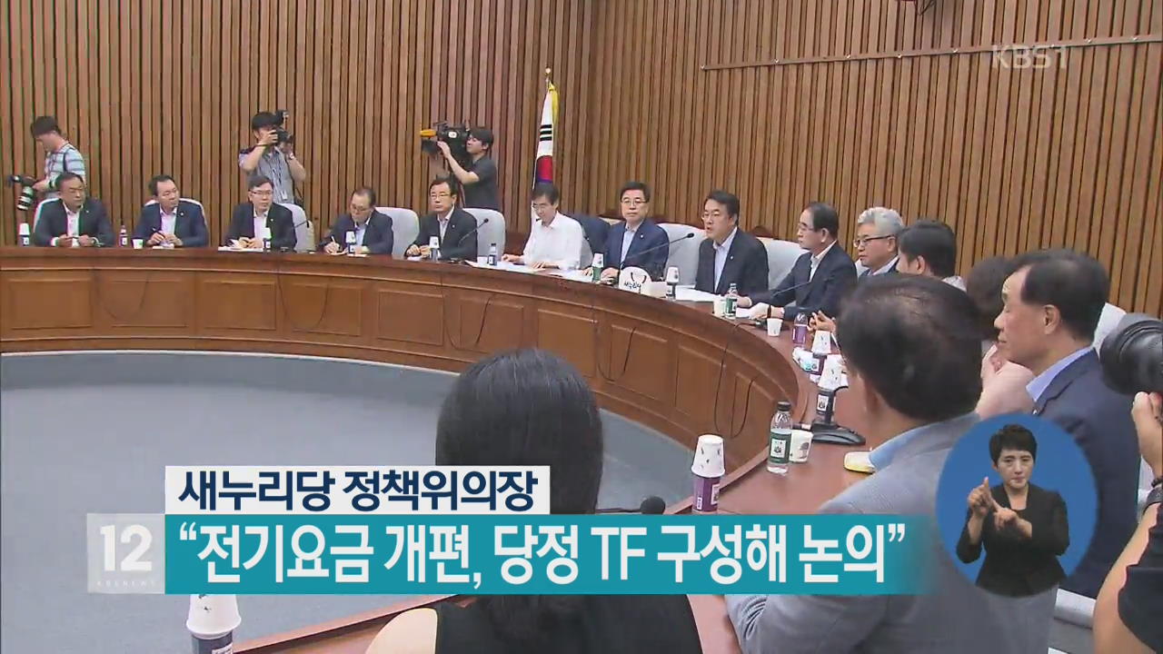 새누리당 정책위의장 “전기요금 개편, 당정 TF 구성해 논의”