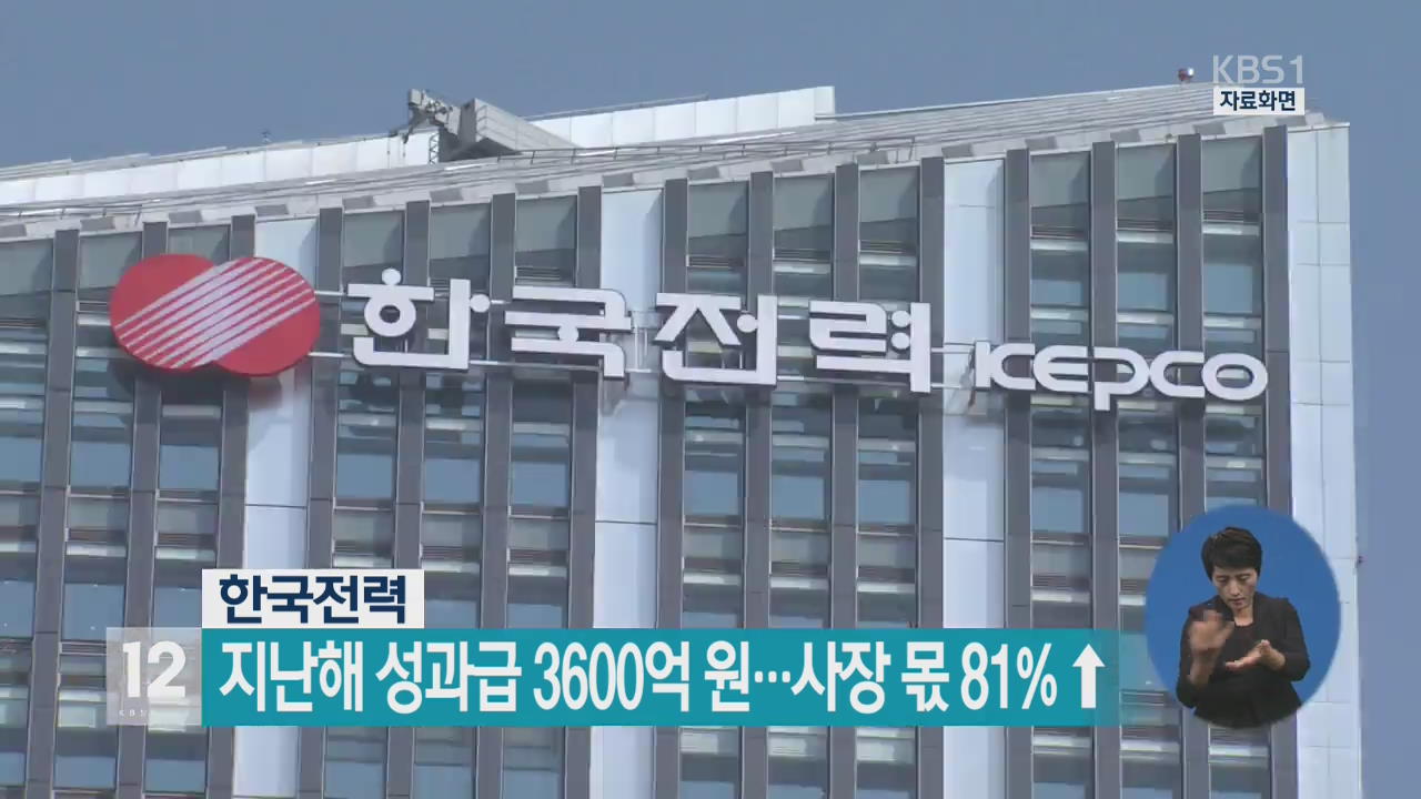 한국전력, 지난해 성과급 3600억 원…사장 몫 81% ↑