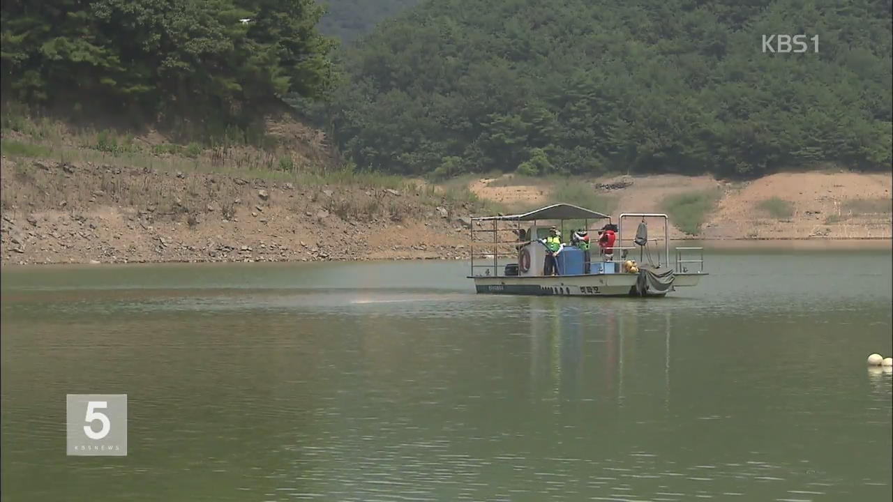 폭염속 ‘녹조 경보’ 발령…식수원 비상