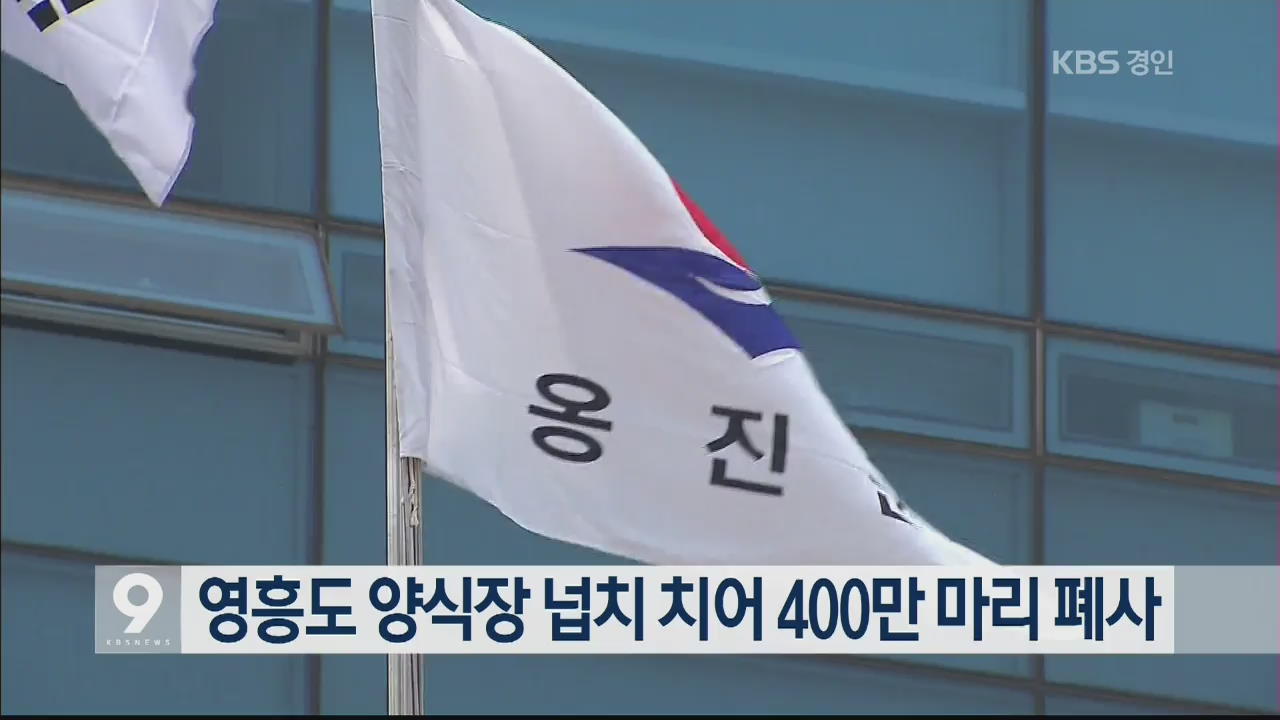 영흥도 양식장 넙치 치어 400만 마리 폐사