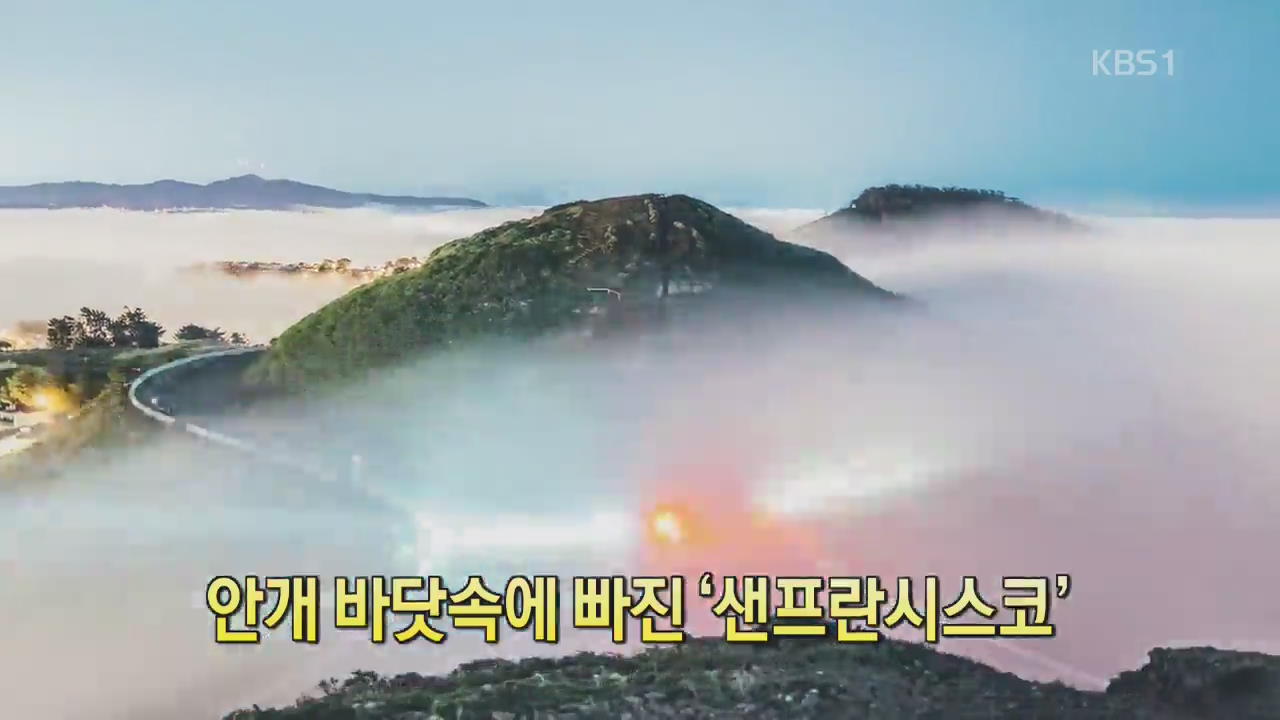[디지털 광장] 안개 바닷속에 빠진 ‘샌프란시스코’