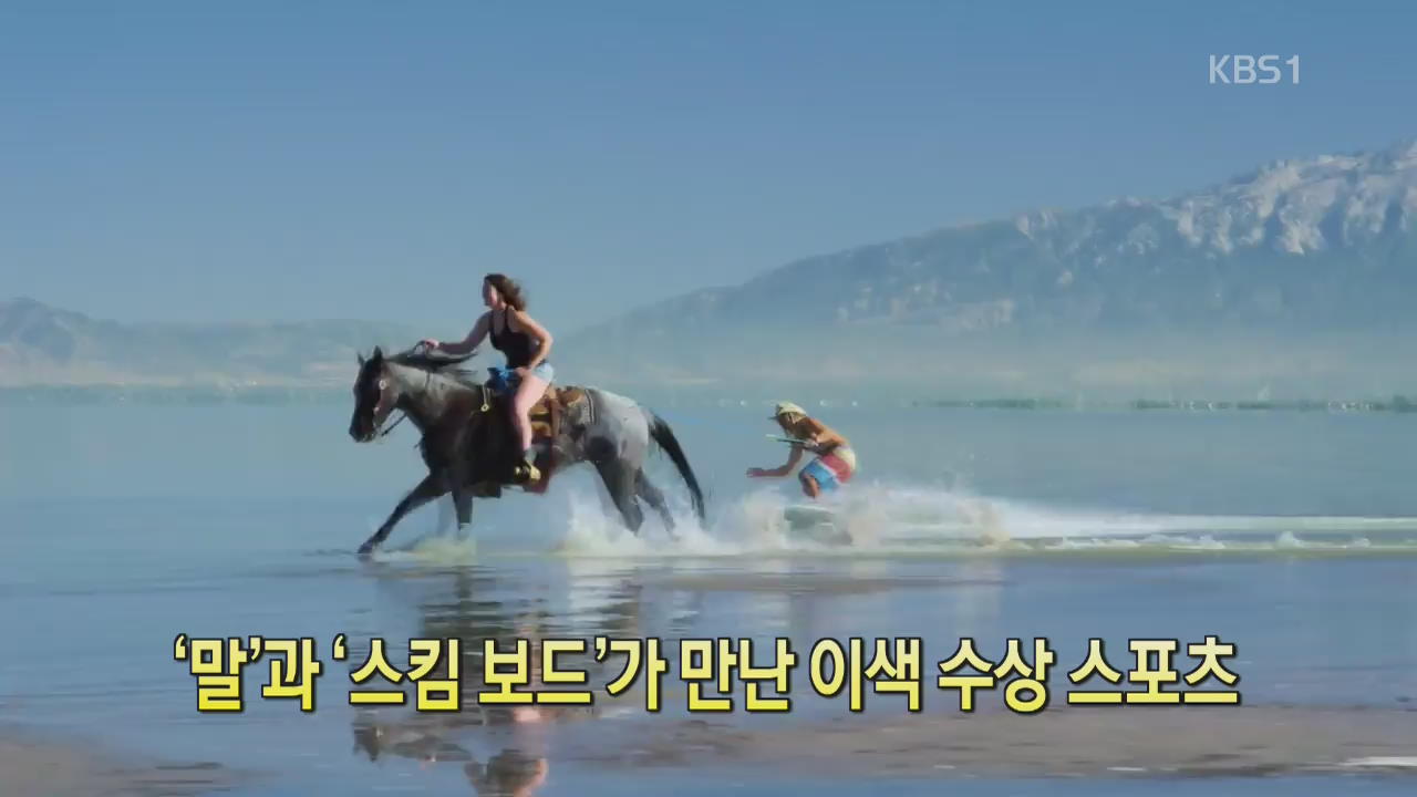 [디지털 광장] ‘말’과 ‘스킴보드’가 만난 이색 수상 스포츠