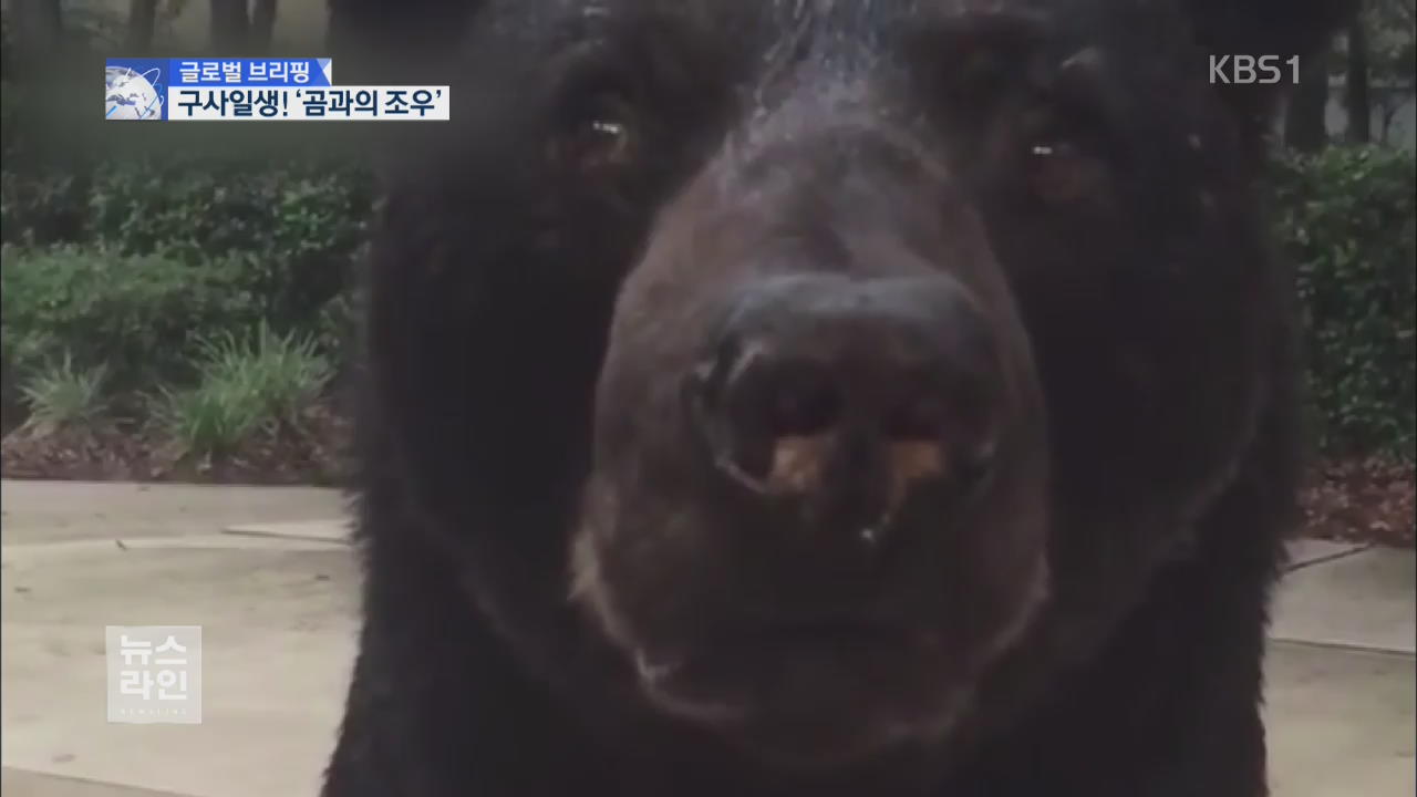 [글로벌 브리핑] 눈앞에서 ‘킁킁’…야생 곰과 아찔한 조우