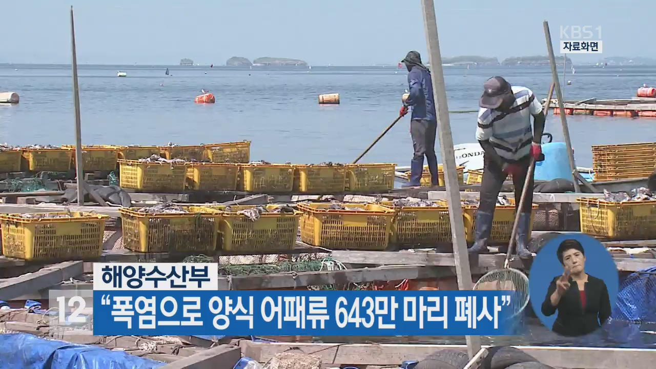 해수부 “폭염으로 양식 어패류 643만 마리 폐사”
