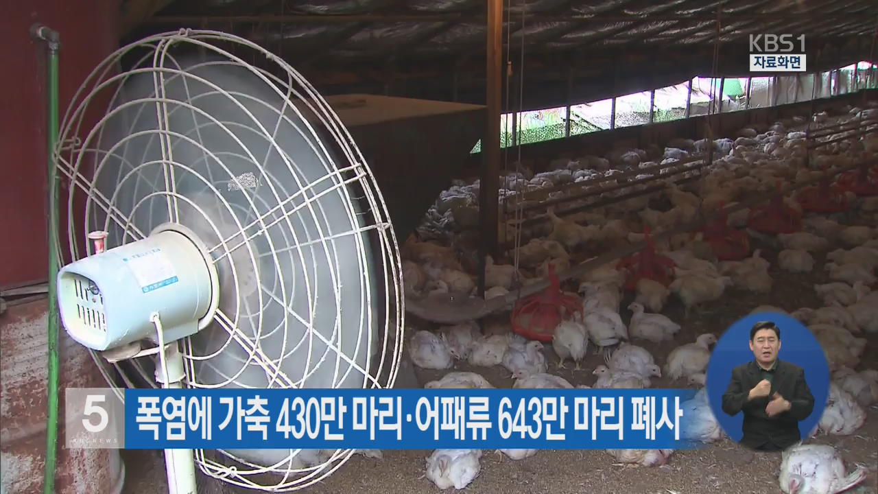 폭염에 가축 430만 마리·어패류 643만 마리 폐사