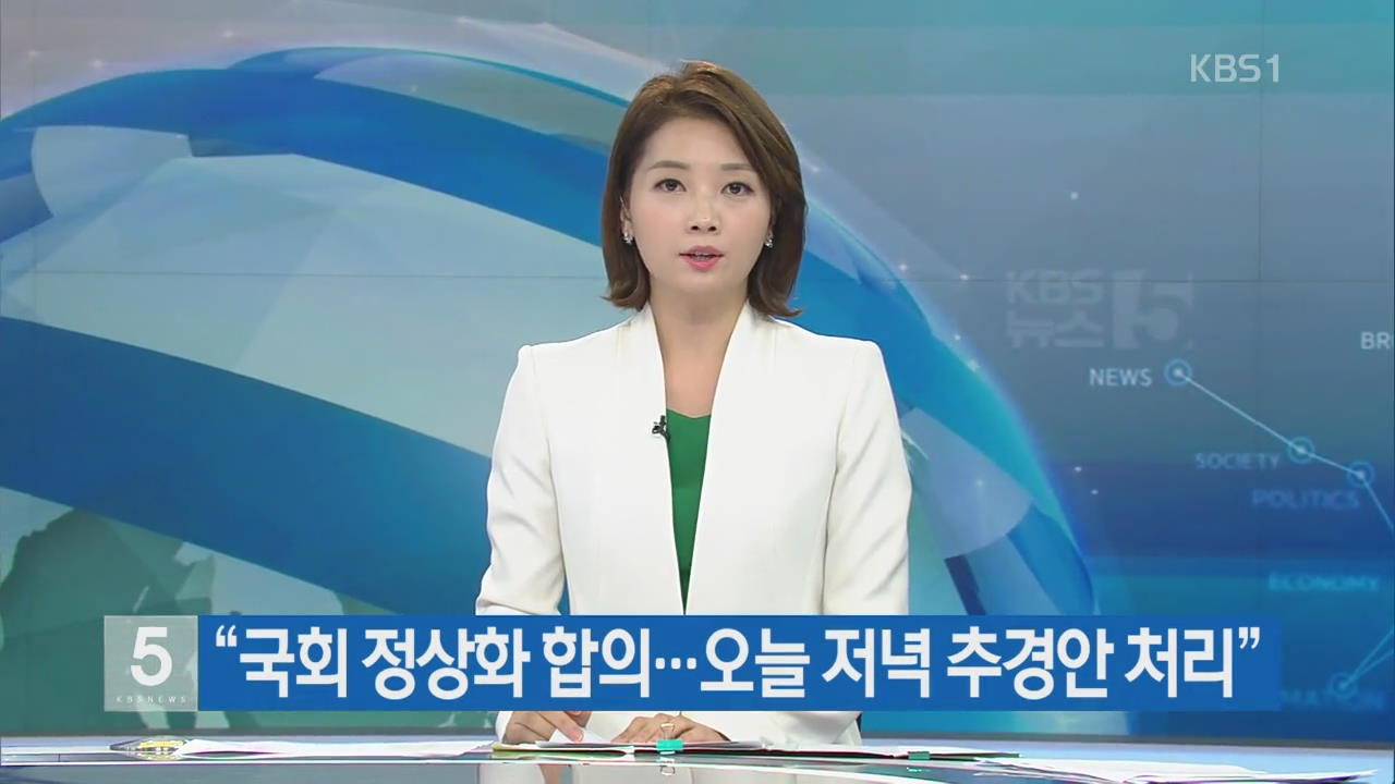 “국회 정상화 합의…오늘 저녁 추경안 처리”