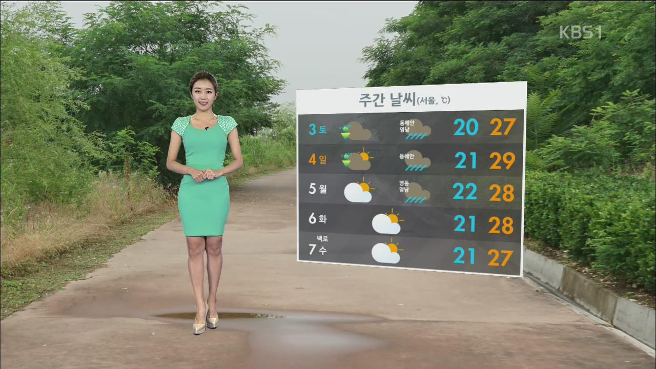 내일까지 영동, 영남 많은 비…중부 소나기