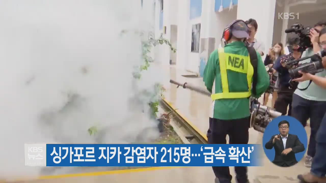 싱가포르 지카 감염자 215명…‘급속 확산’