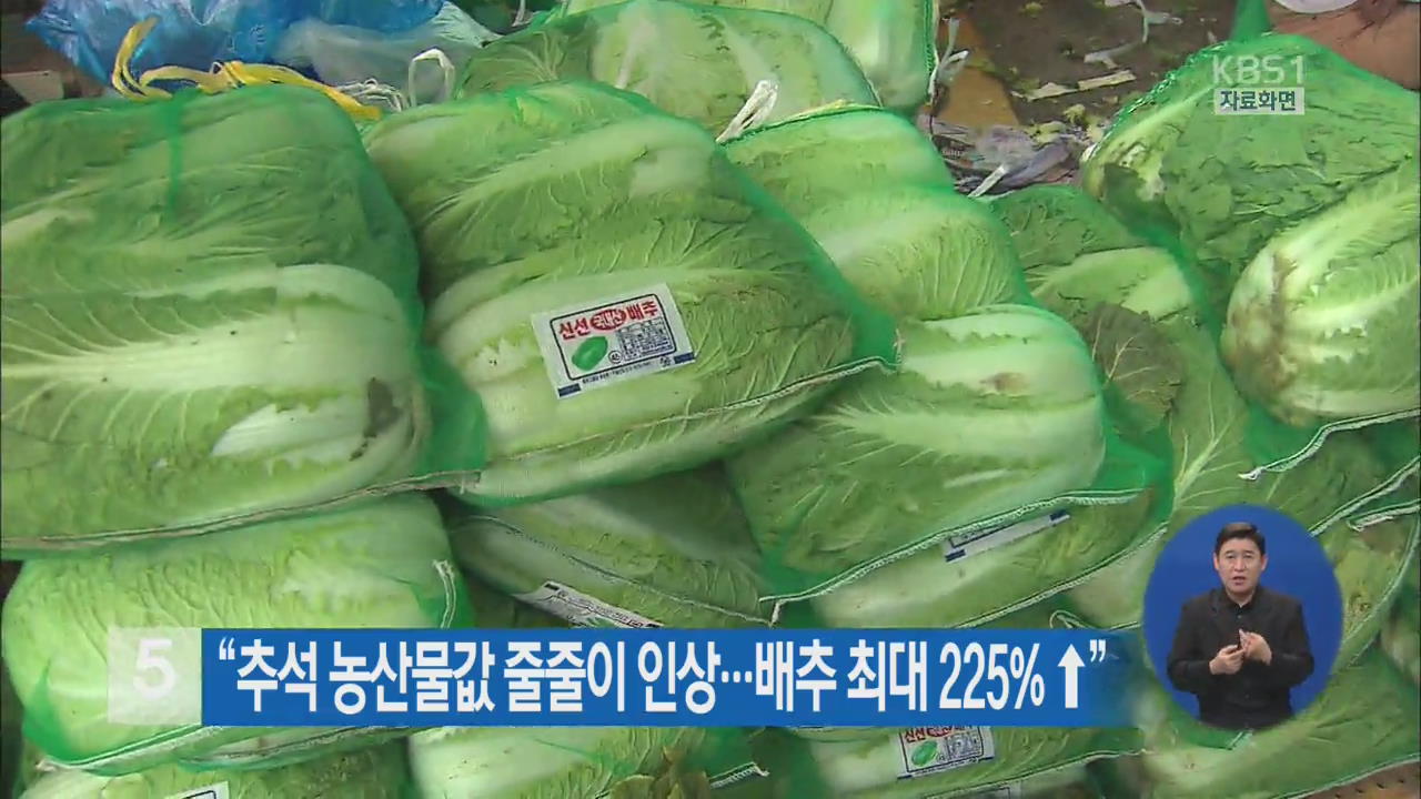“추석 농산물값 줄줄이 인상…배추 최대 225% ↑”