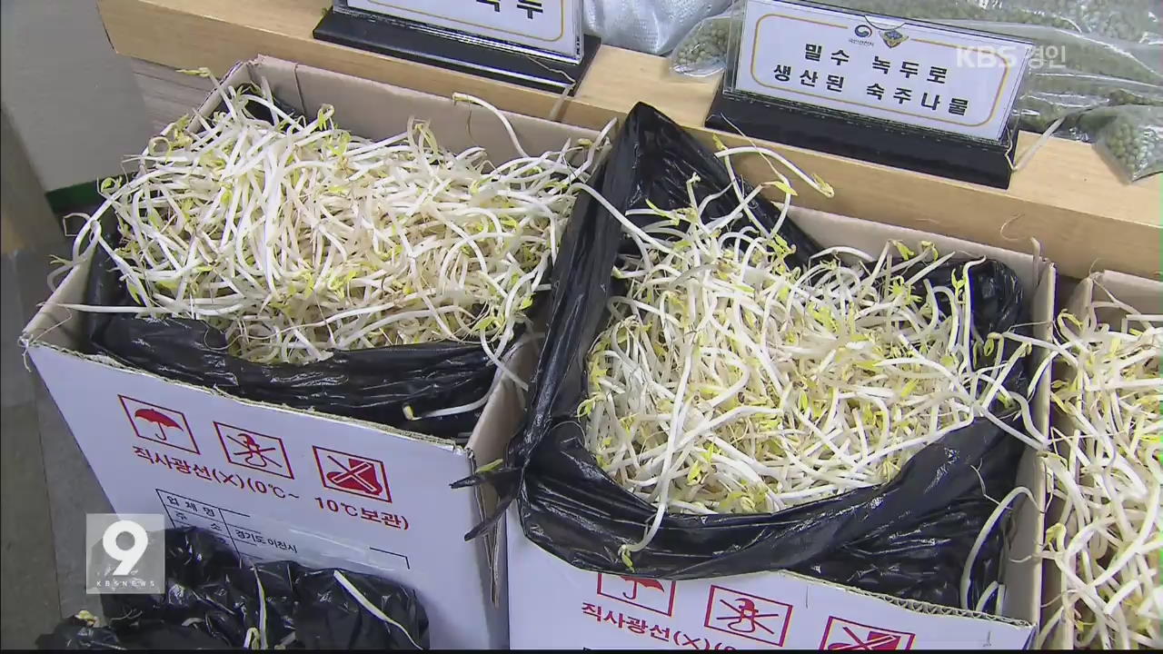 ‘중국산 밀수 녹두로 숙주나물 재배’ 200억 원 어치 유통