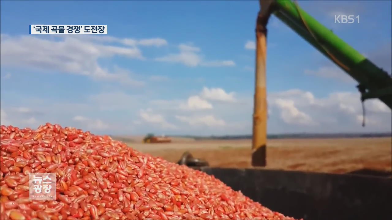 [지금 세계는] ‘국제 곡물 전쟁’ 치열…한국도 도전장